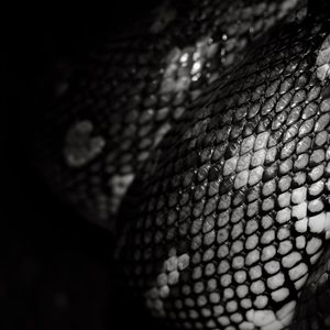Python自动化办公实战：用30行代码搞定重复工作